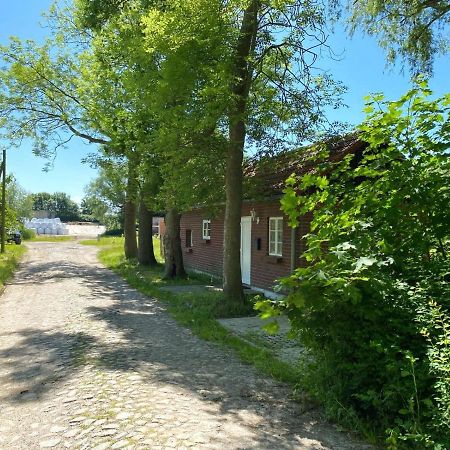 Hofgut Bisdamitz - Ferienhaus "Knoff" 外观 照片