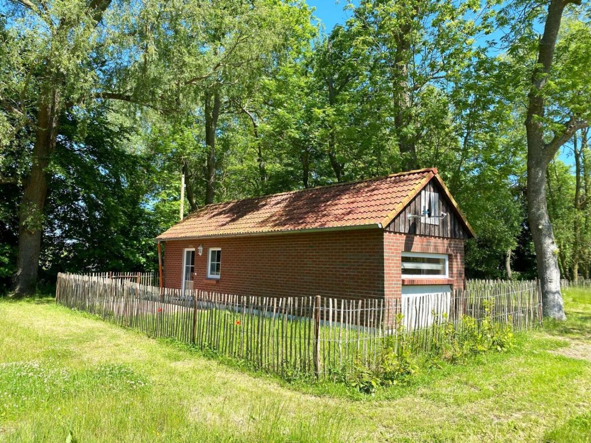 Hofgut Bisdamitz - Ferienhaus "Knoff" 外观 照片
