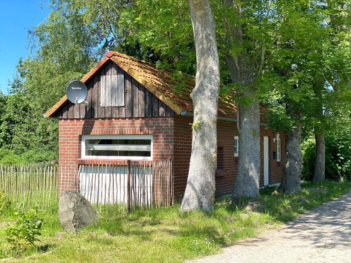 Hofgut Bisdamitz - Ferienhaus "Knoff" 外观 照片