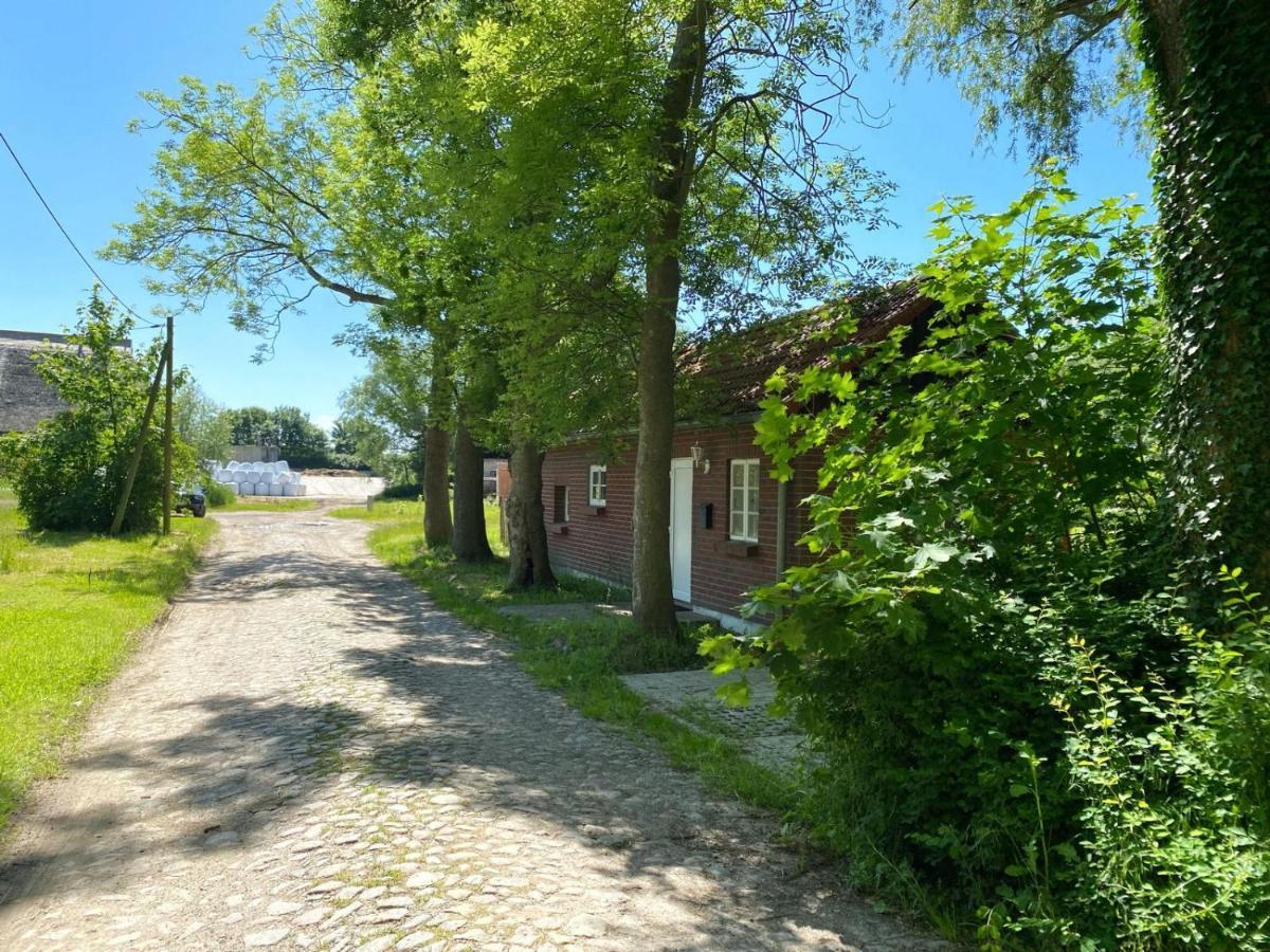 Hofgut Bisdamitz - Ferienhaus "Knoff" 外观 照片