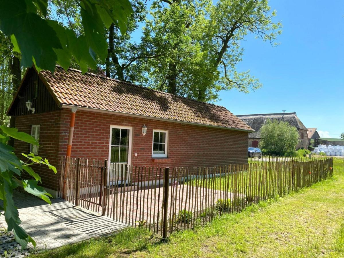 Hofgut Bisdamitz - Ferienhaus "Knoff" 外观 照片