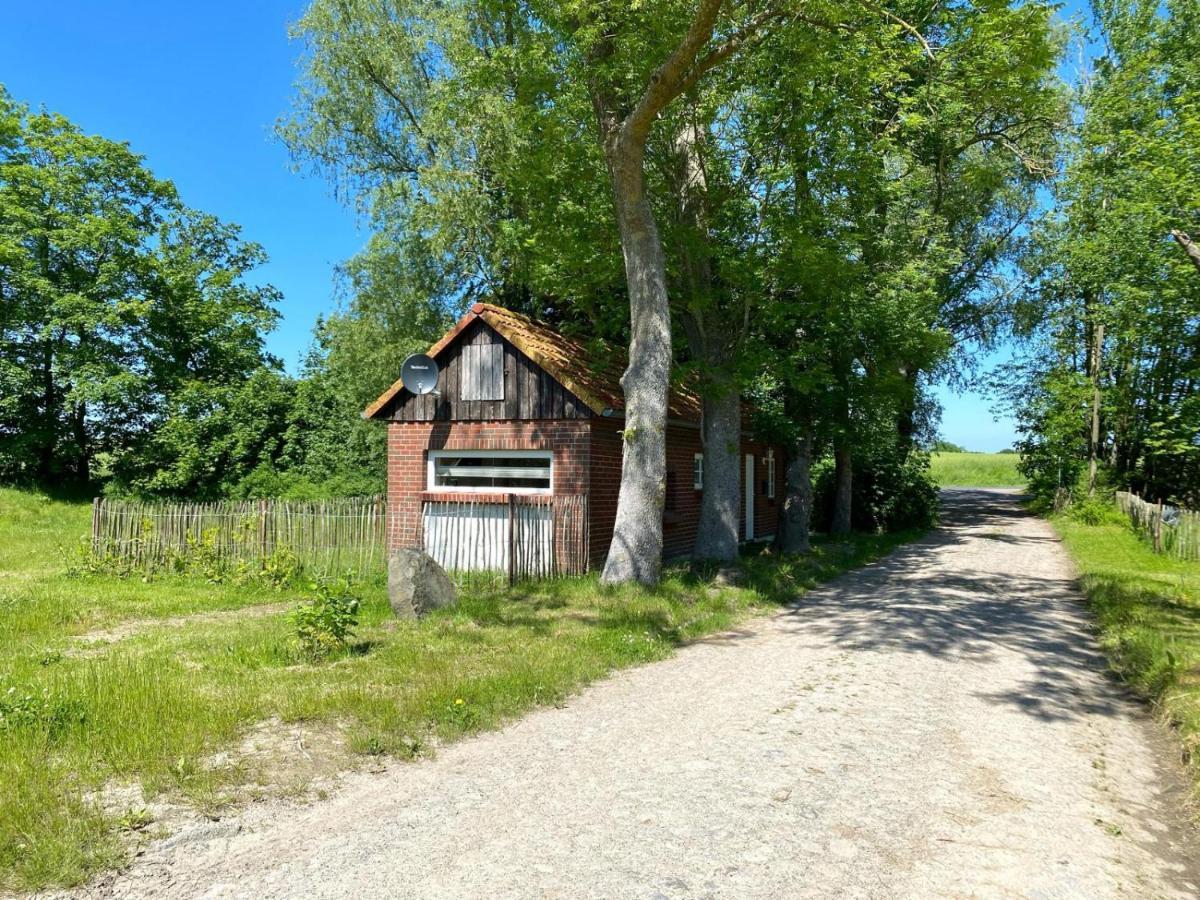 Hofgut Bisdamitz - Ferienhaus "Knoff" 外观 照片
