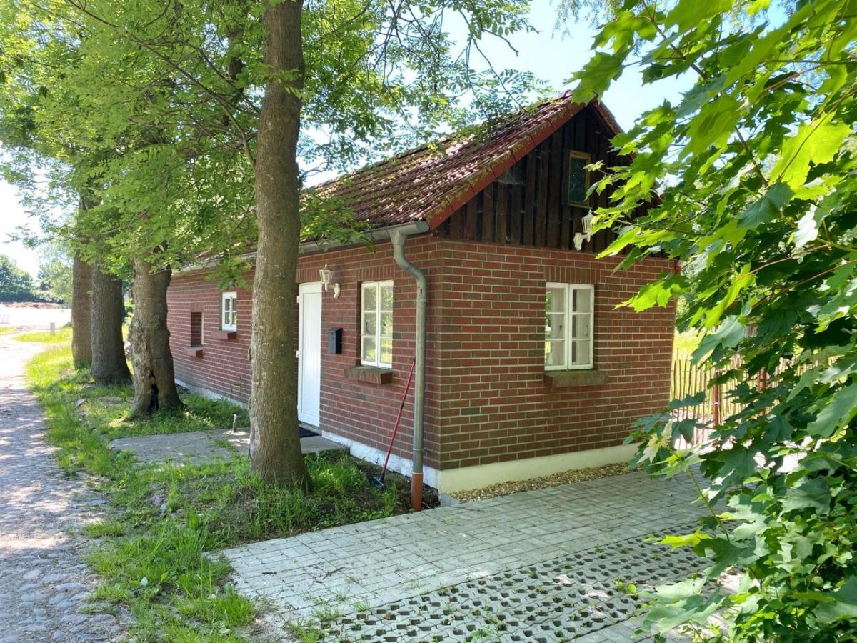 Hofgut Bisdamitz - Ferienhaus "Knoff" 外观 照片